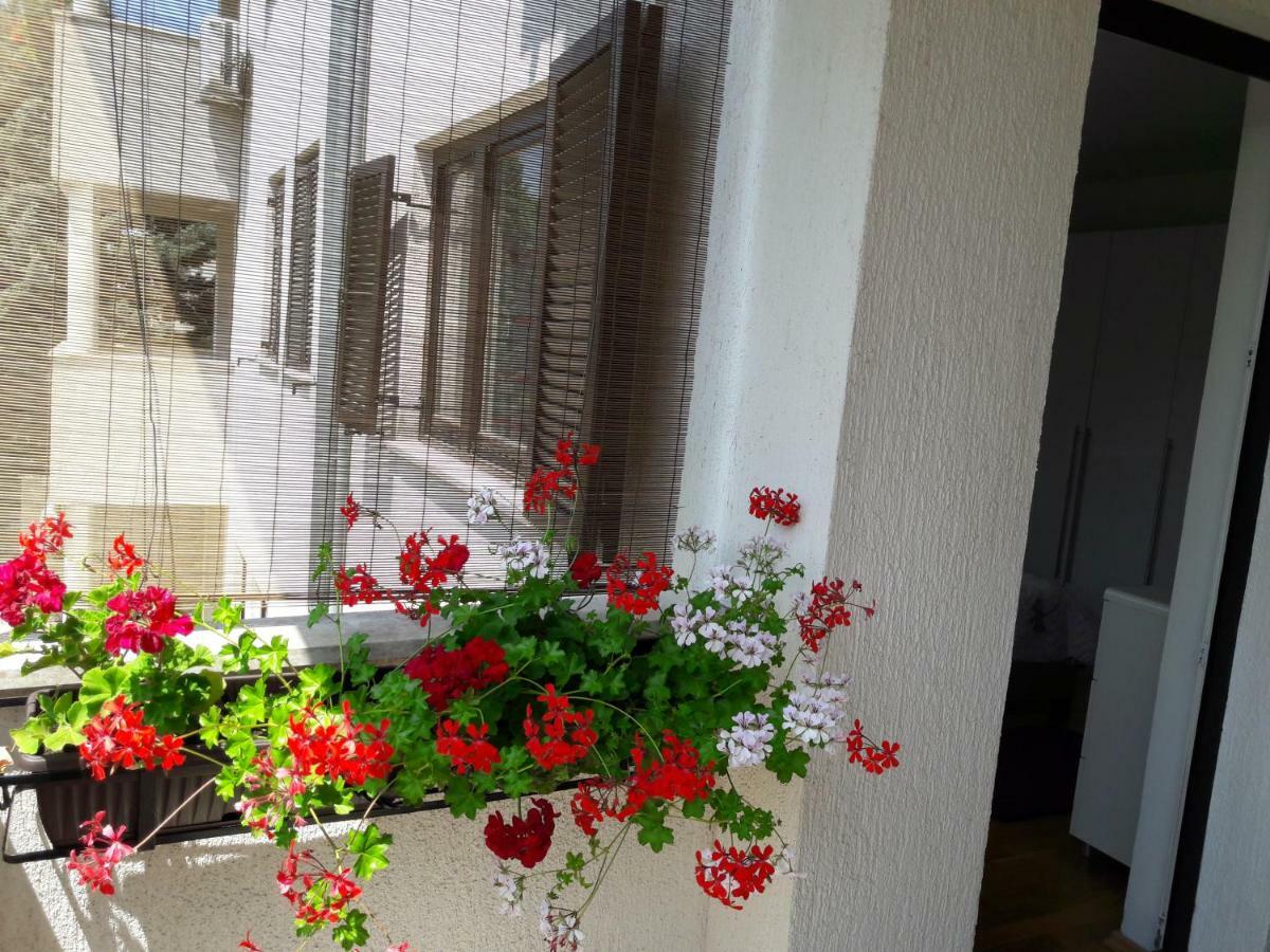 Apartments Ruzica Pula Ngoại thất bức ảnh